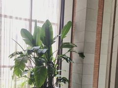 -浅深Cheersum(曹杨店)