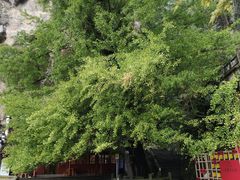 -大慈岩风景区