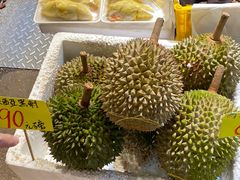 -油麻地果栏