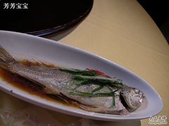 小黄鱼_真美味-十八棵（老龙井）御茶园(老龙井店)