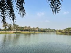 -迪茵湖田家舍生态农场