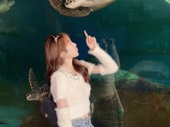 -广东惠东海龟国家级自然保护区