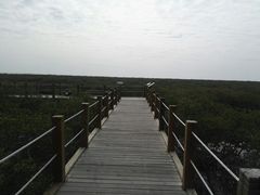 -北海金海湾红树林生态旅游区