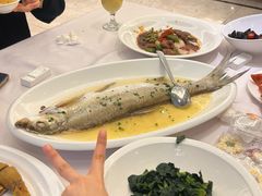 -骏莱海鲜鱼港(五角场店)
