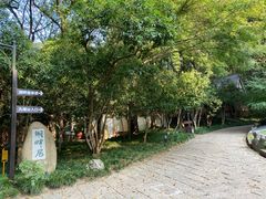 -九曜山