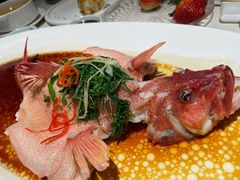 东星斑清蒸东星斑-维园悦谱·海派家常菜(乌鲁木齐南路店)