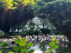 -九龙公园