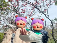 -大围山国家森林公园