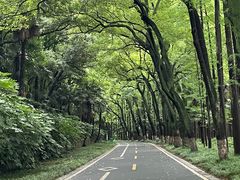 -采石矶景区