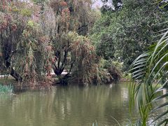 -人民公园(罗湖区)