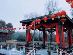 -同里国家湿地公园