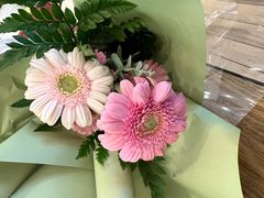 -KPRO 帕尼尼·沙拉·缤纷拼盘(万象城店)