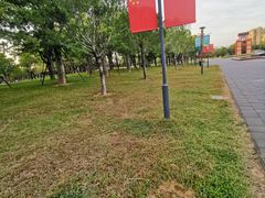 -苏颂公园