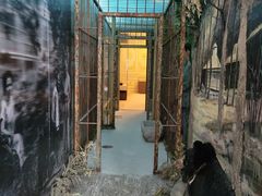 -北京动物园-畅观楼