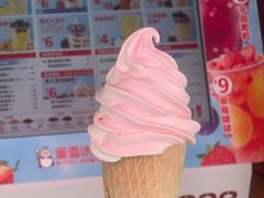 -蜜雪冰城(托乐嘉店)
