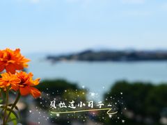 -鹭江宾馆·观海餐厅