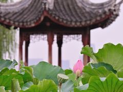 -石湖景区