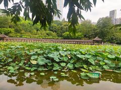 -龙头寺公园