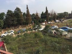 -森居forest休闲咖啡聚集地