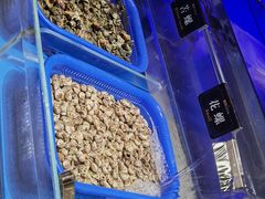 -加餐海鲜自助(宝龙一城店)