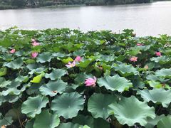 -江南大学(蠡湖校区)