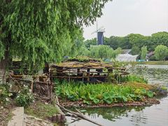 -上海鲜花港