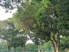 -天河儿童公园