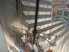 -蛙小侠(柳州万象城店)