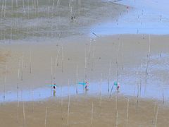 -小皓村