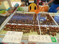 -大湾区中央湿地公园-十九涌