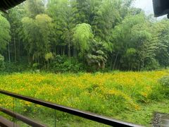 -兰亭风景区