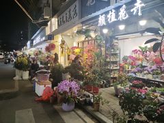 -溪岸路花鸟市场
