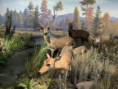 -陕西自然博物馆