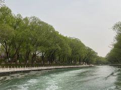 -皇家御河游(紫御湾码头)