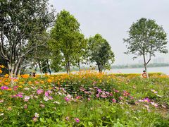 -海珠湖公园