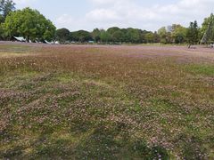 -福建鲤鱼洲酒店