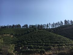 -心无尘茶餐馆(径山村店)