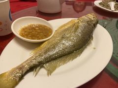 黄花鱼-深运潮州粥(东门店)