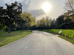 -上海滨江森林公园