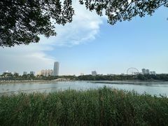-南宁南湖公园