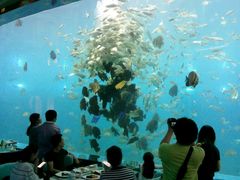 -瑞德姆美人鱼海底演艺主题餐厅(亚龙湾店)