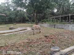-海南热带野生动植物园