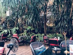 -Fern Forest Cafe