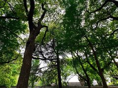 -西园戒幢律寺