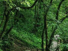 -西岭雪山大飞水景区