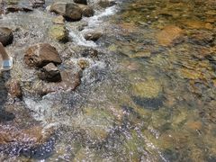 -北仑森林植物园