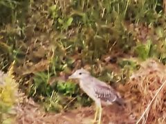 -春花秋色城市公园