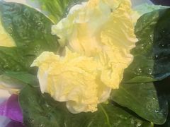 -东来顺饭庄·火锅(环岛店)