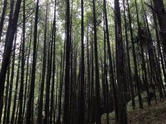 -山王坪喀斯特国家生态公园