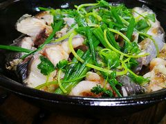 煎焗鲶鱼-海泉湾竹筒饭·瘦身水库大头鱼(从化温泉镇店)